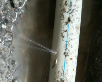 六安市卫生间测漏水多少钱