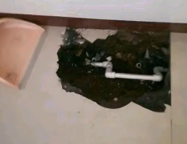 六安市卫生间测漏水多少钱